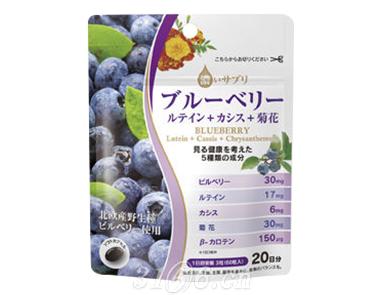 蓝莓 日本桑珀特招商