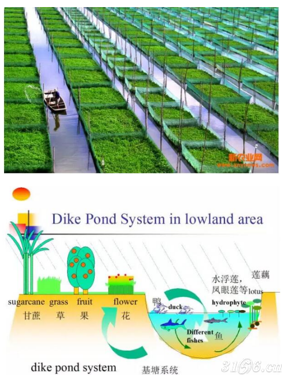 1  丘陵山地立体综合利用模式4,立体农业有哪些模式呢?