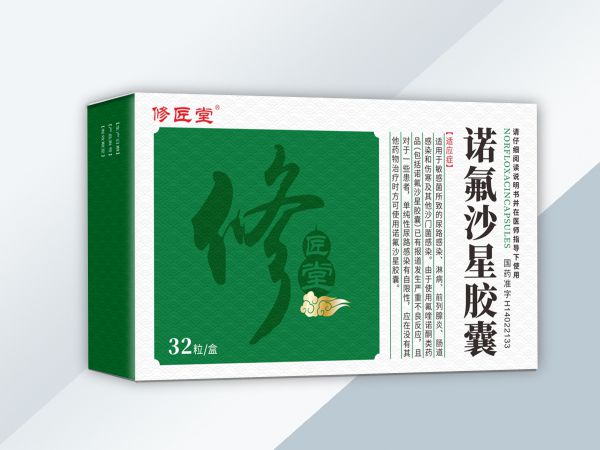 诺氟沙星胶囊01g12粒50板